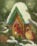 Snowy Birdhouse (image for) Snowy Birdhouse